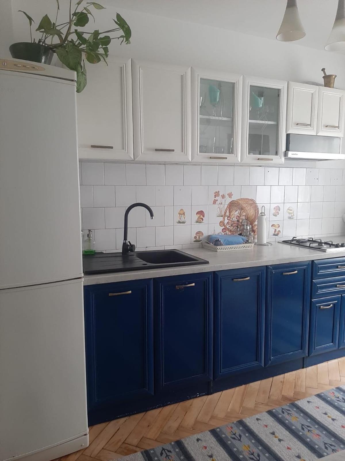 Mari&Vio Apartment Kluž Exteriér fotografie