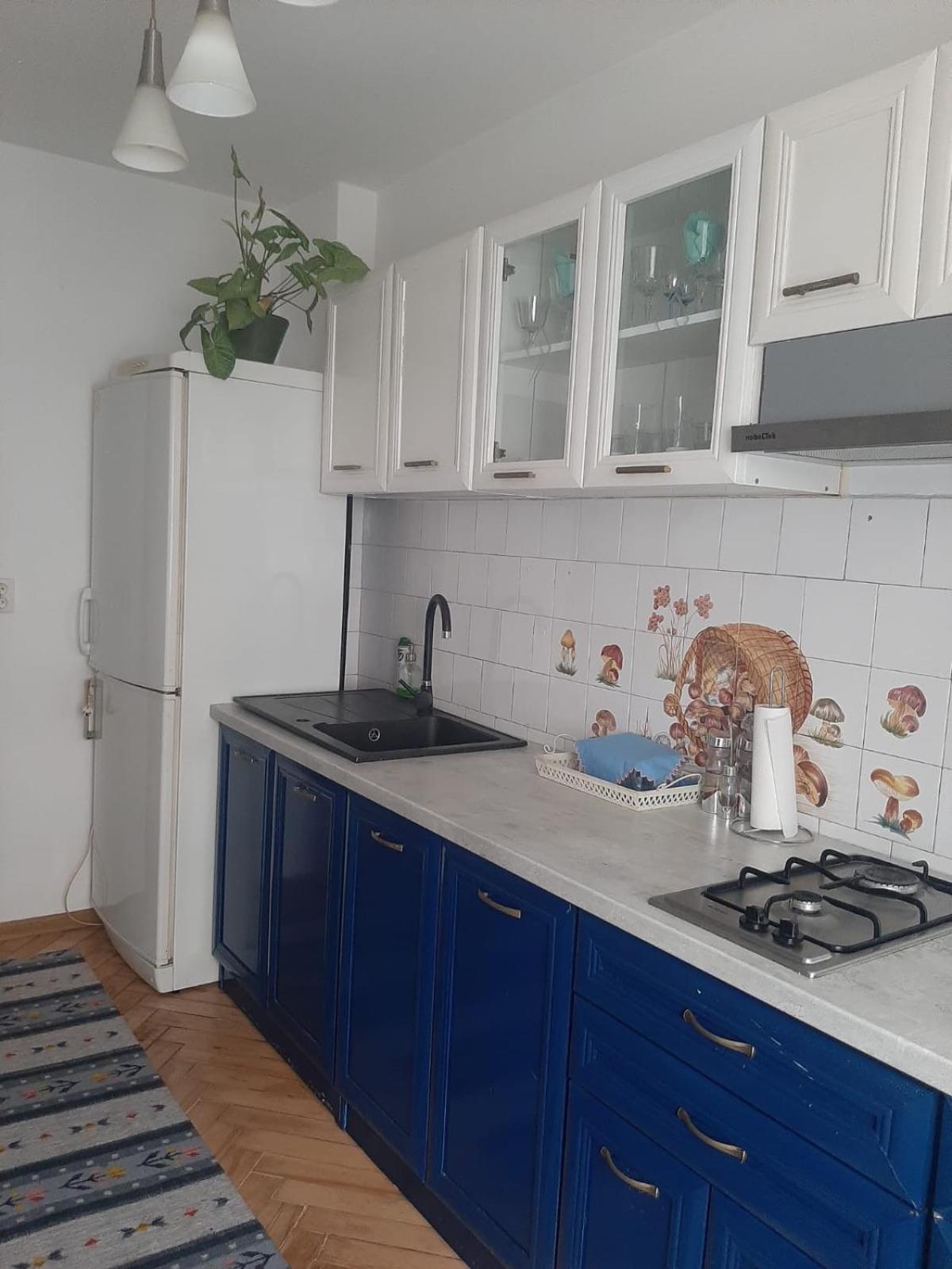 Mari&Vio Apartment Kluž Exteriér fotografie